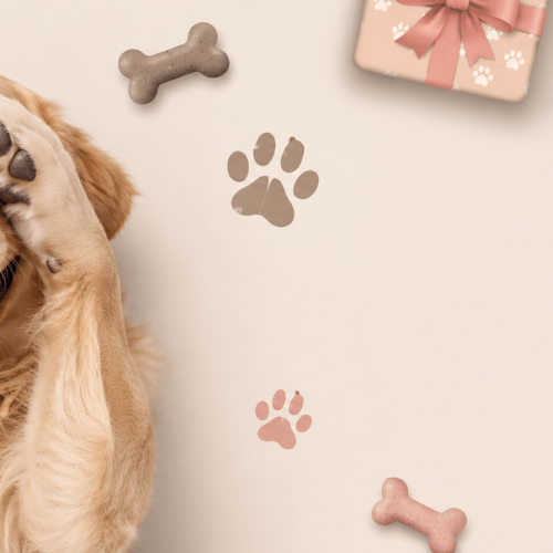 SAW THE PAW